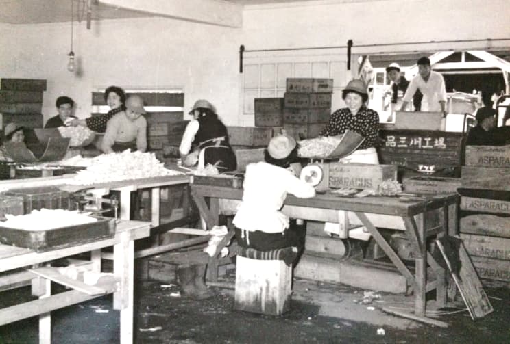 三川工場での作業風景